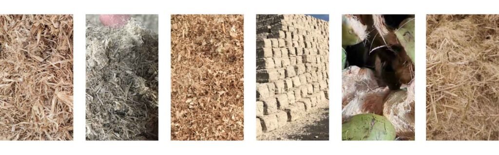 different-biomass-waste