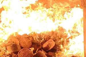 rice husk briquettes