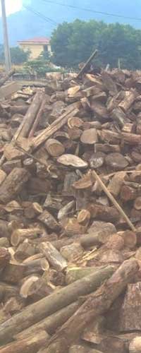 waste wood logs