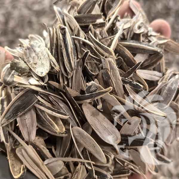 Sunflower-Husk
