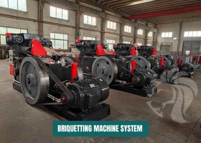 Biomass-Briquetting-Plant